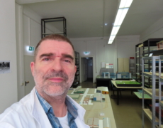 Volker Mende