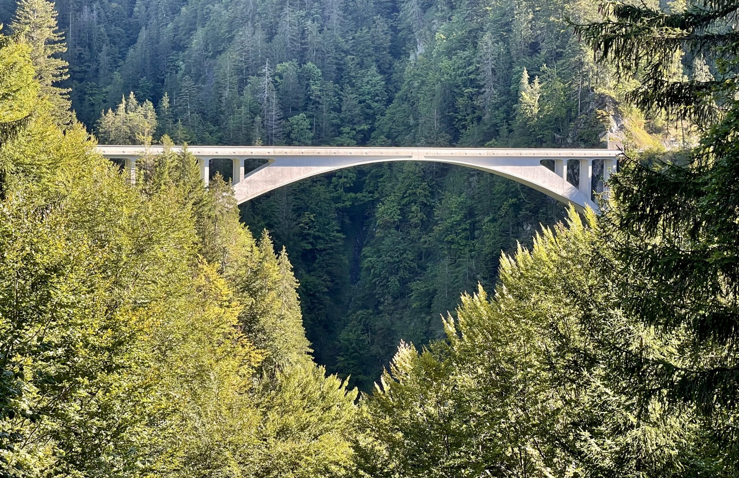 Salginatobel-Brücke (© Werner Lorenz 2025)