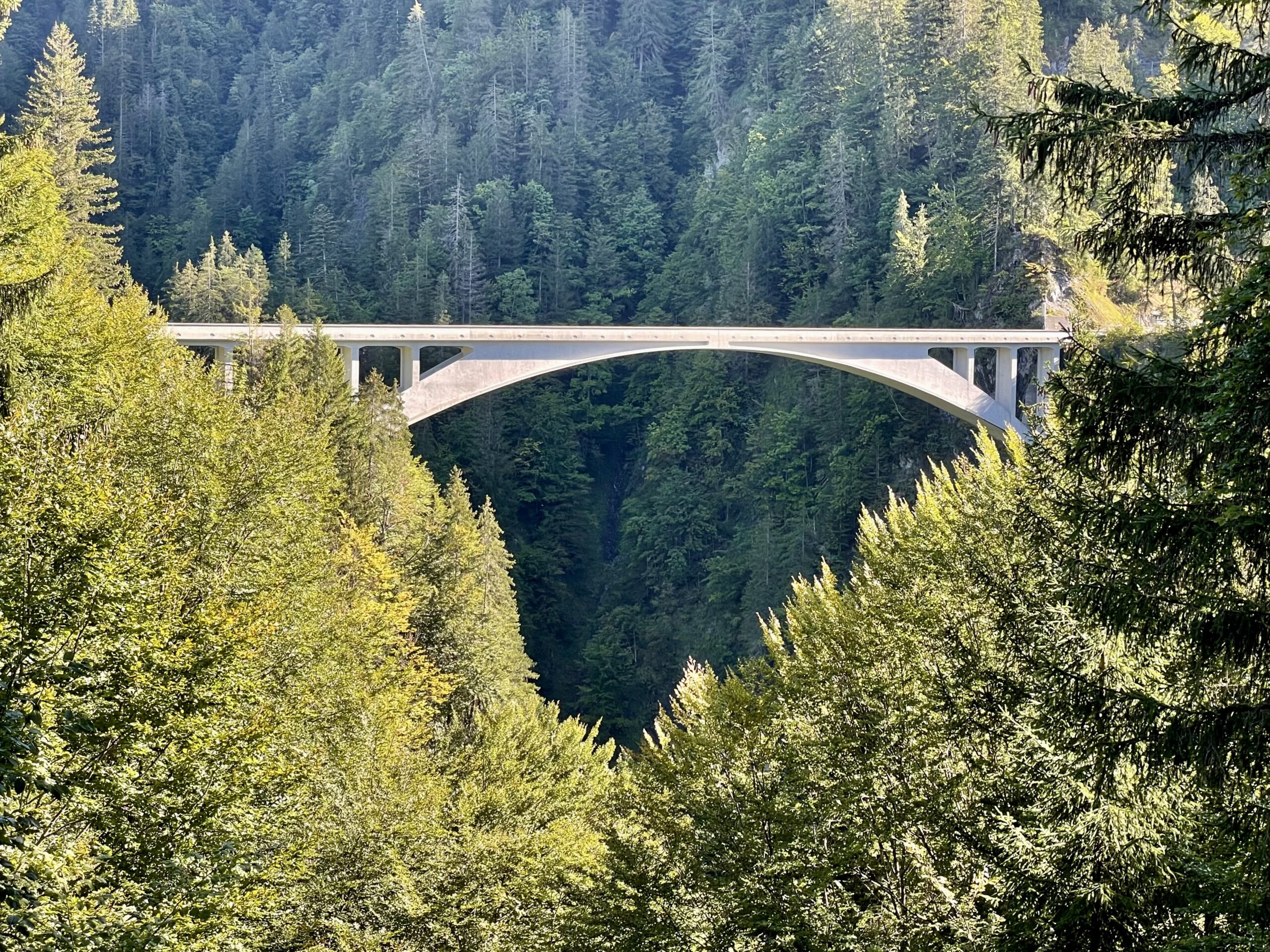 Salginatobel-Brücke (© Werner Lorenz 2025)